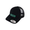 North Wordmark Cap