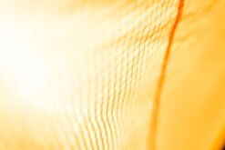 Ozone Reflex